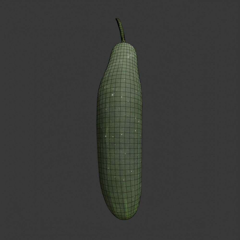 Photoscanned Cucumber Vol 1 Low-poly 3D model_31