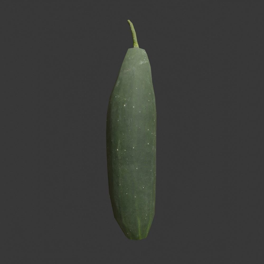 Photoscanned Cucumber Vol 1 Low-poly 3D model_3