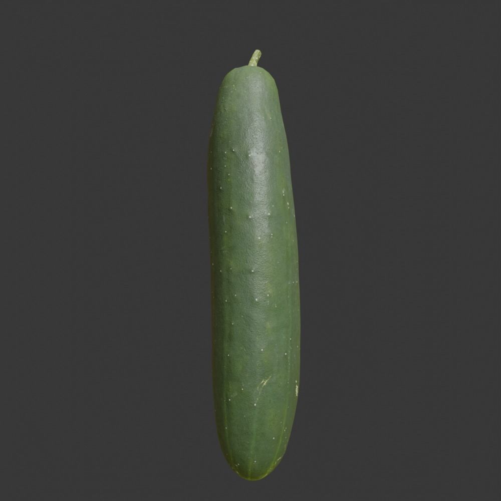 Photoscanned Cucumber Vol 1 Low-poly 3D model_7
