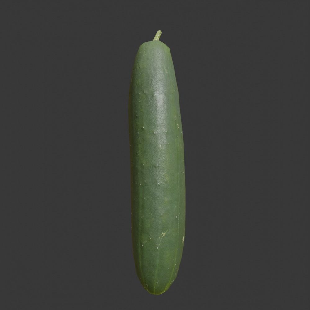 Photoscanned Cucumber Vol 1 Low-poly 3D model_8
