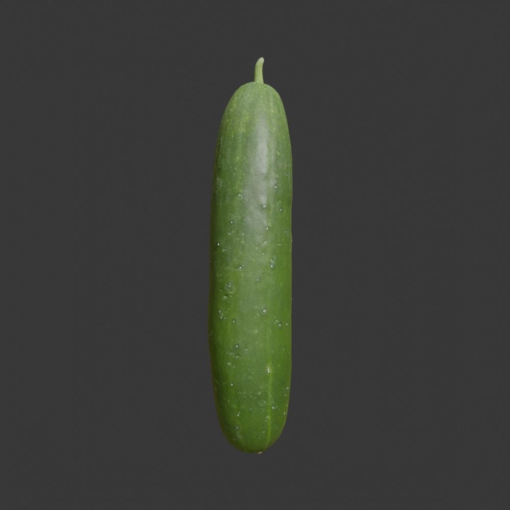 Photoscanned Cucumber Vol 1 Low-poly 3D model_11