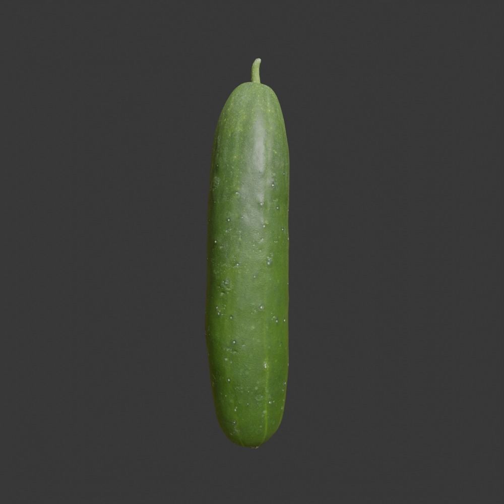 Photoscanned Cucumber Vol 1 Low-poly 3D model_10