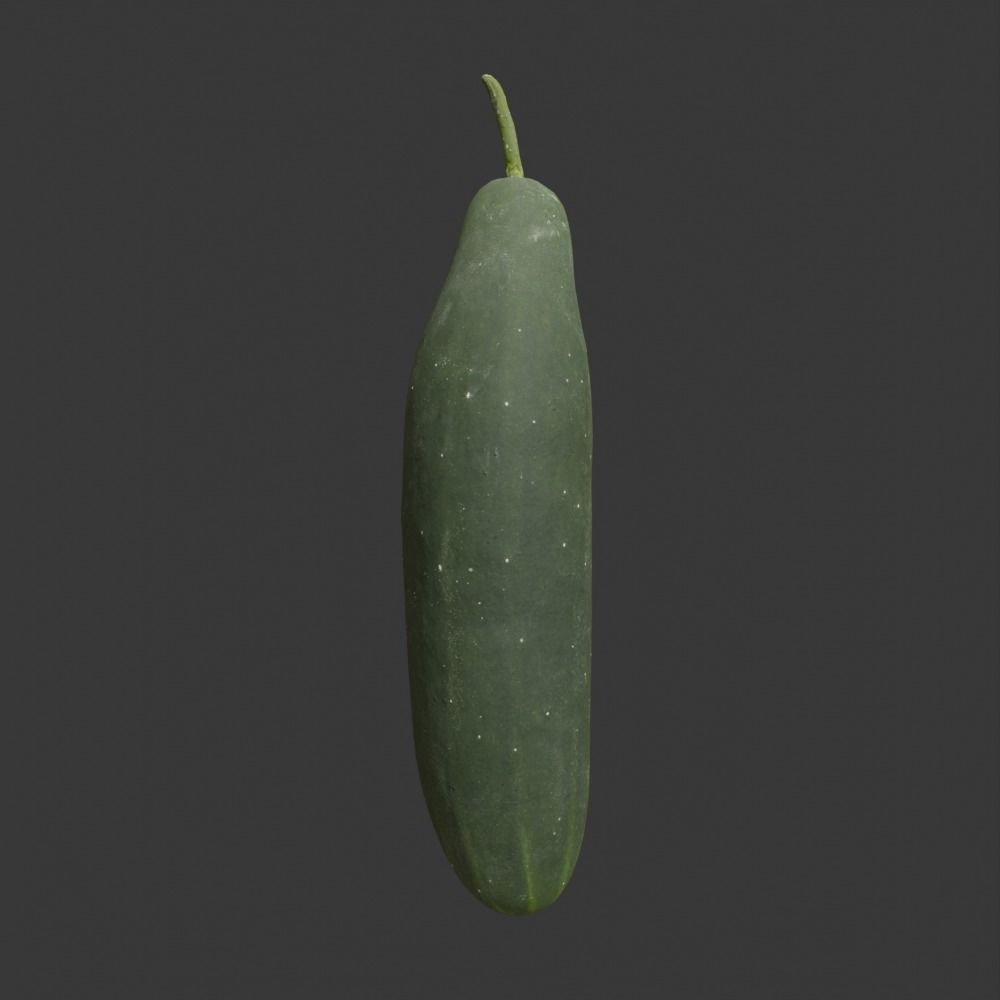 Photoscanned Cucumber Vol 1 Low-poly 3D model_1