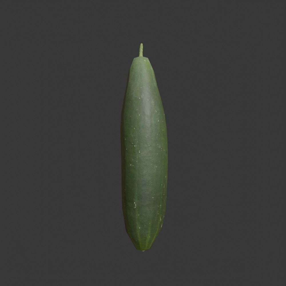 Photoscanned Cucumber Vol 1 Low-poly 3D model_6