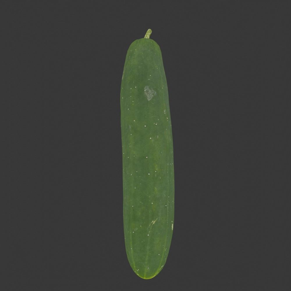 Photoscanned Cucumber Vol 1 Low-poly 3D model_18