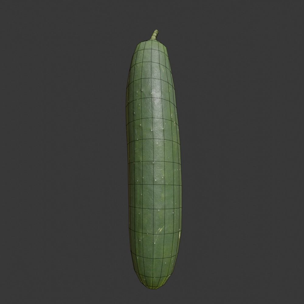 Photoscanned Cucumber Vol 1 Low-poly 3D model_38