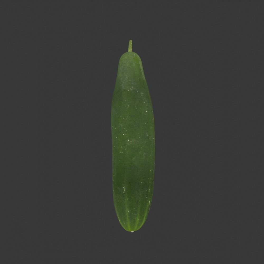 Photoscanned Cucumber Vol 1 Low-poly 3D model_17