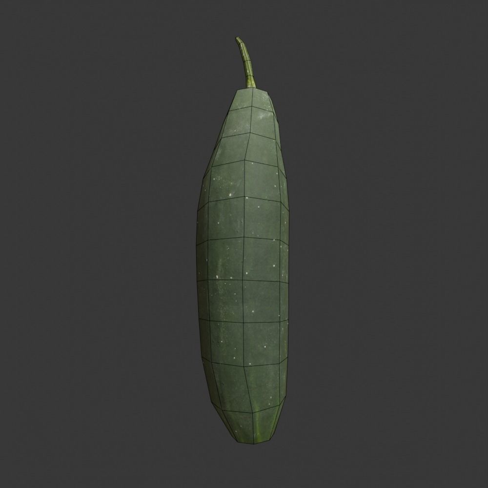 Photoscanned Cucumber Vol 1 Low-poly 3D model_33