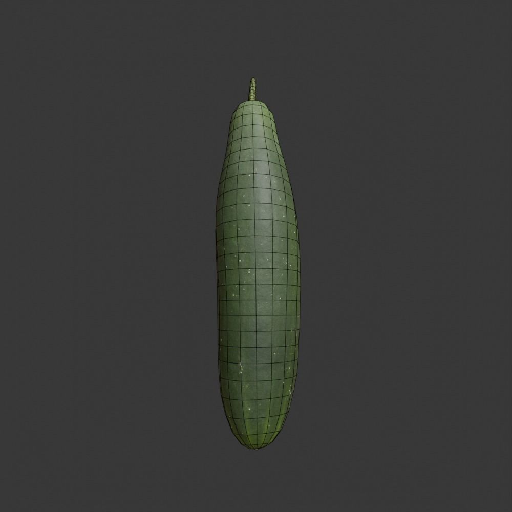 Photoscanned Cucumber Vol 1 Low-poly 3D model_35