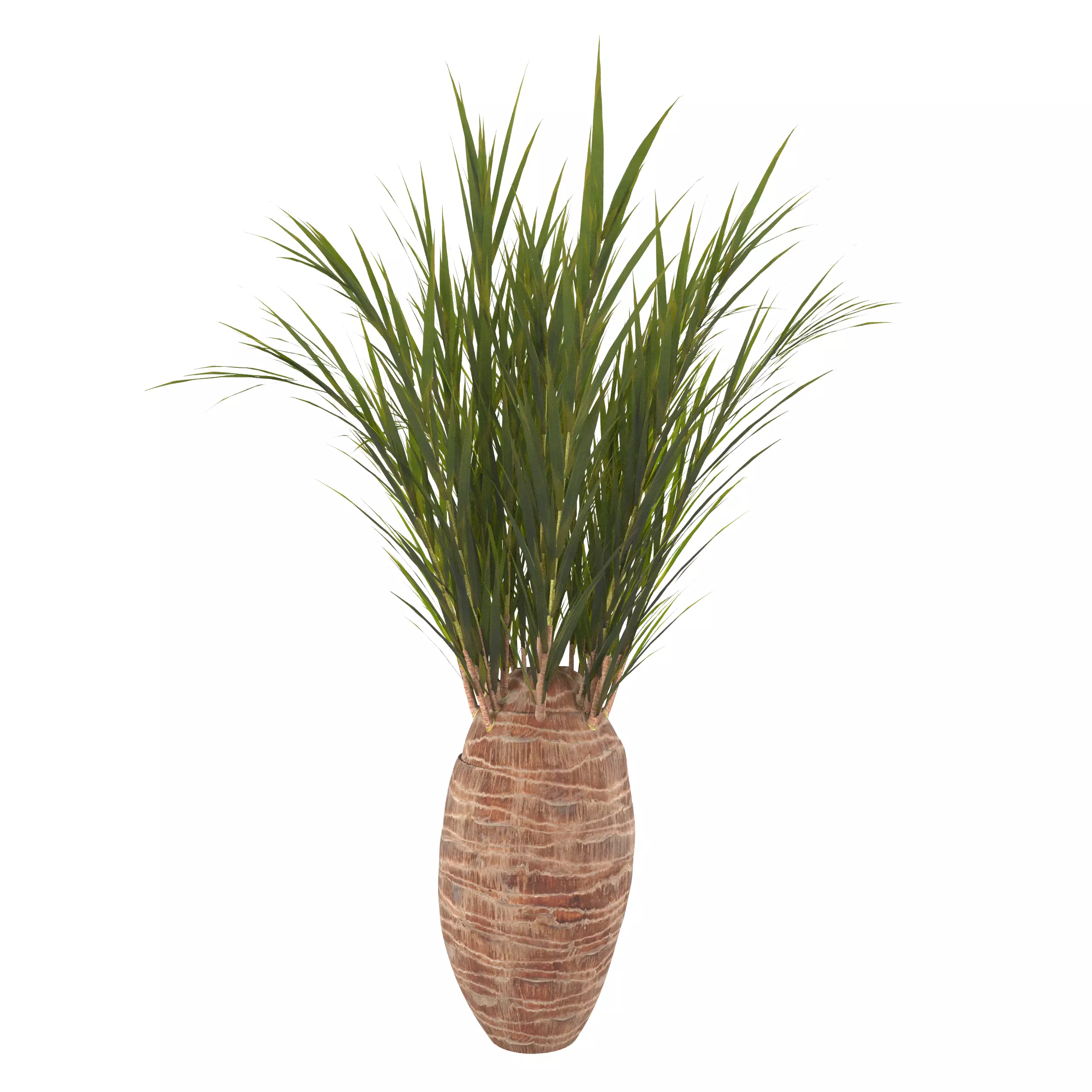 Date Shrub-Decorative shrub 3D model_0