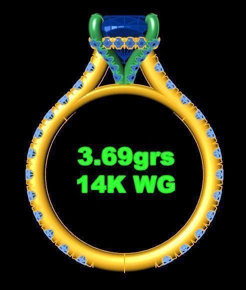 Cushion WG Ring 3D print model_5