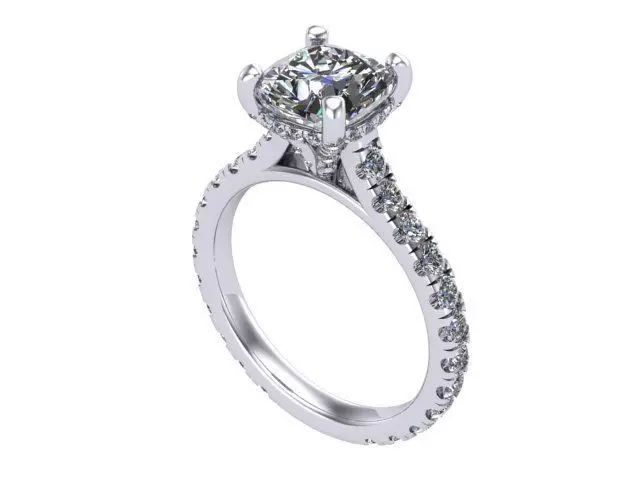 Cushion WG Ring 3D print model_0