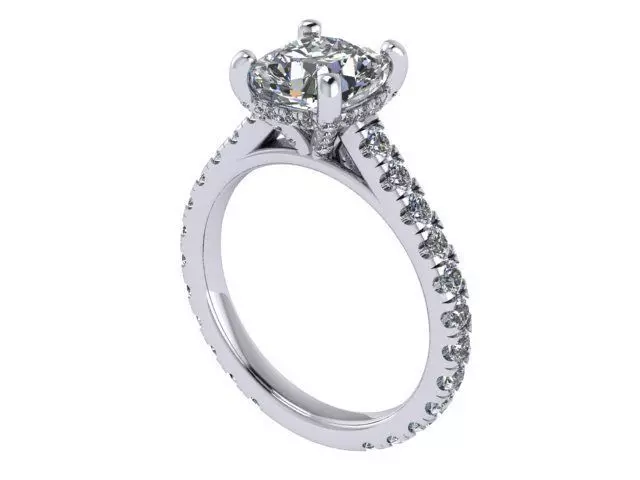 Cushion WG Ring v2 3D print model_0