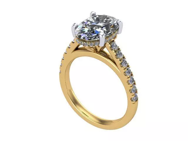 YG OV Tree Ring 3D print model_0