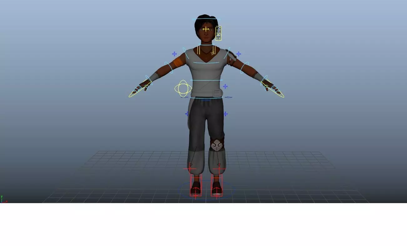 Aarya complete rig 3D model