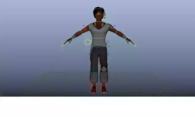 Aarya complete rig 3D model