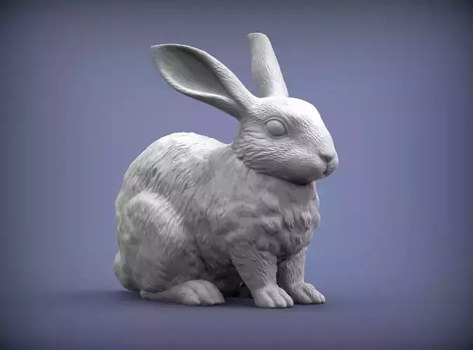 Rabbit 3D print model