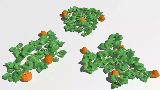 Pumpkin plantation Low-poly 3D model