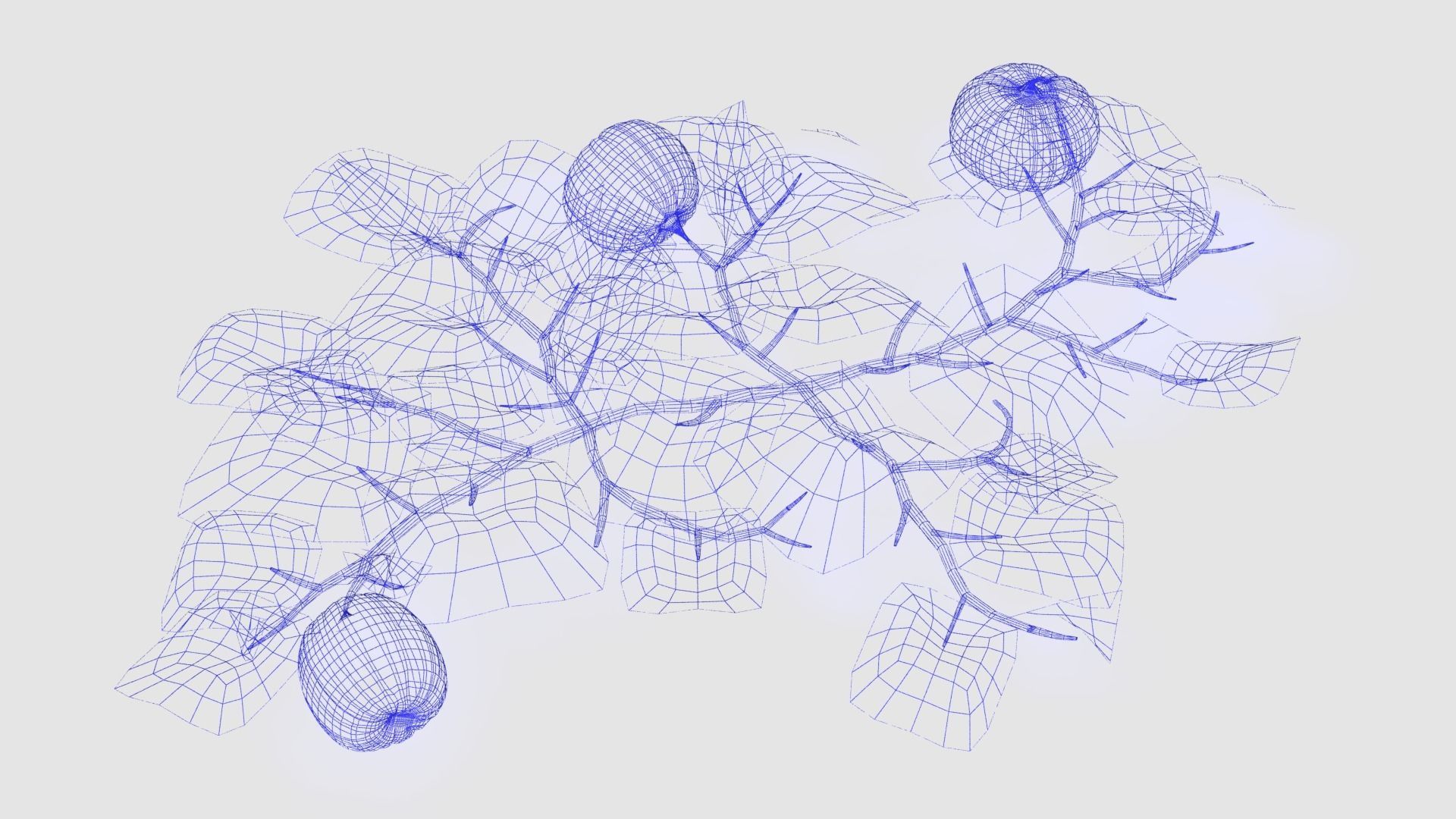 Pumpkin plantation Low-poly 3D model_11