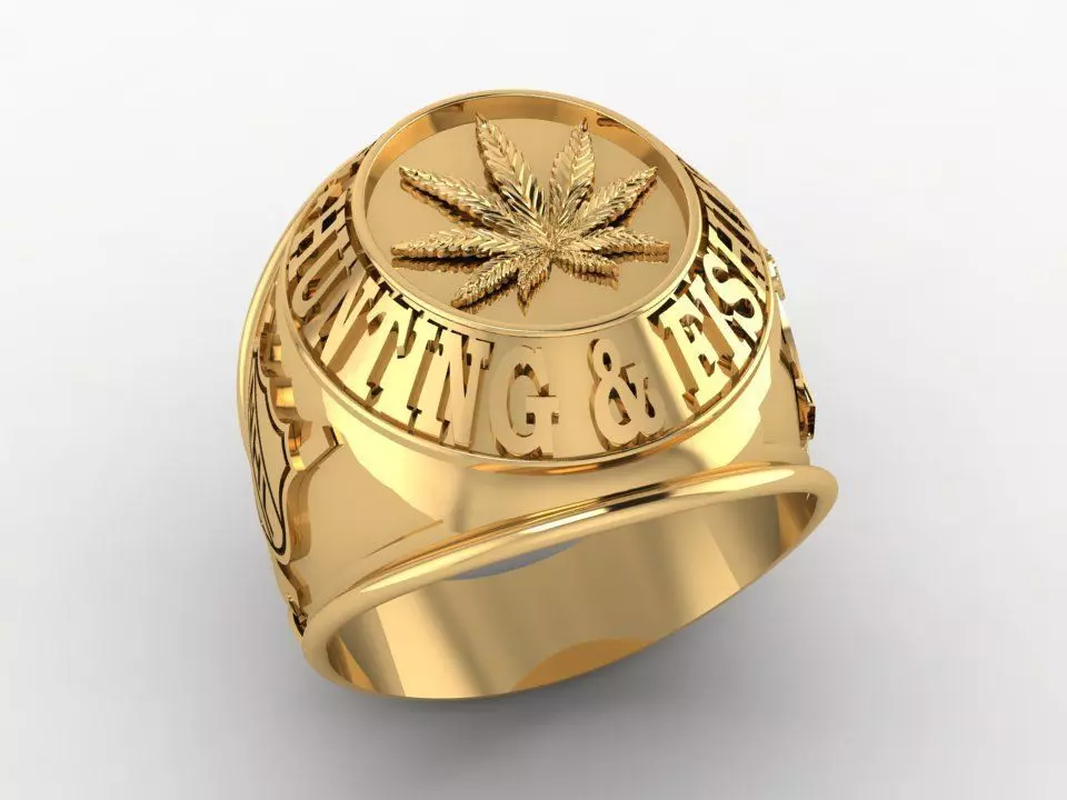 RING USA NM1 Free 3D print model