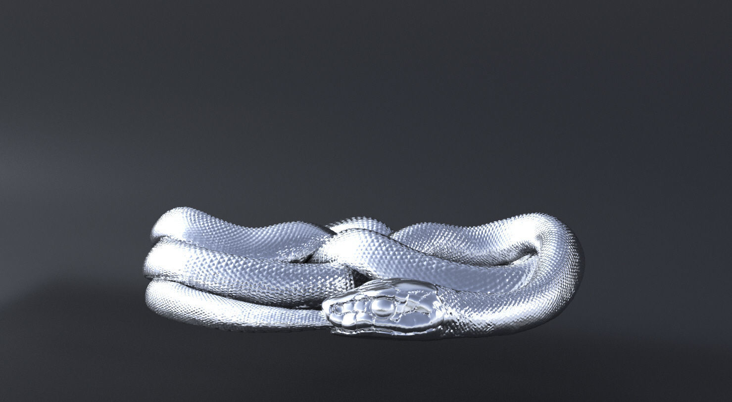Serpent Ouroboros 3D print model or CNC model 3D print model_5