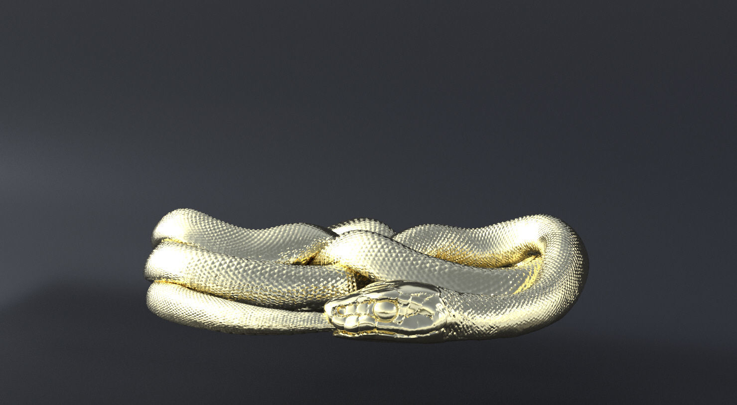 Serpent Ouroboros 3D print model or CNC model 3D print model_3