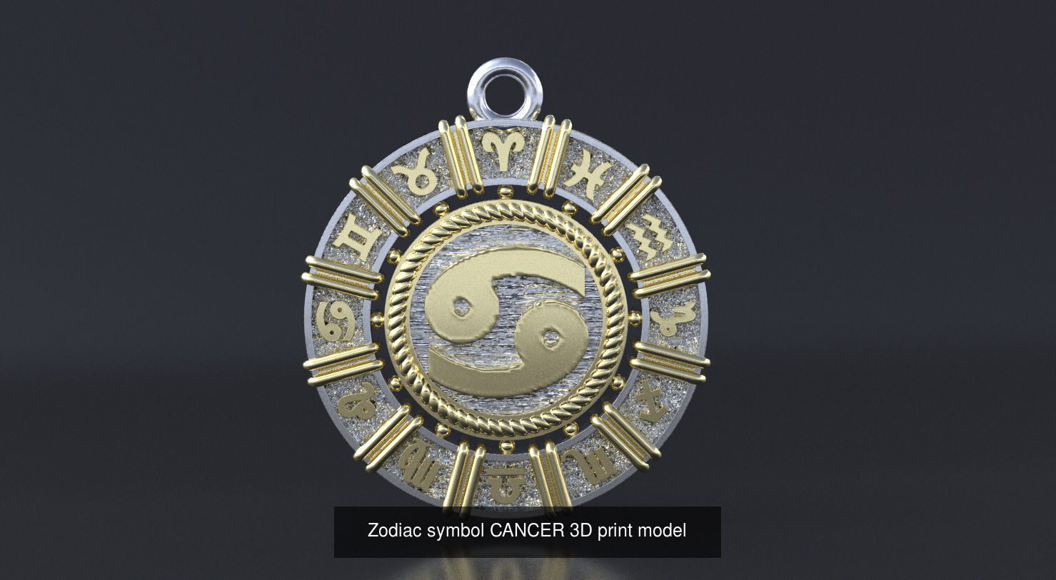 Zodiac signs 3D Model Collection_8