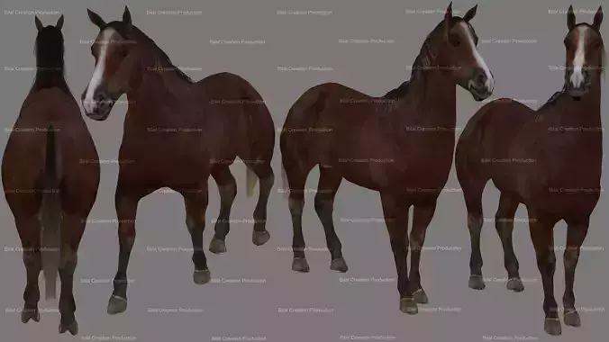 Horse Animated 3D model