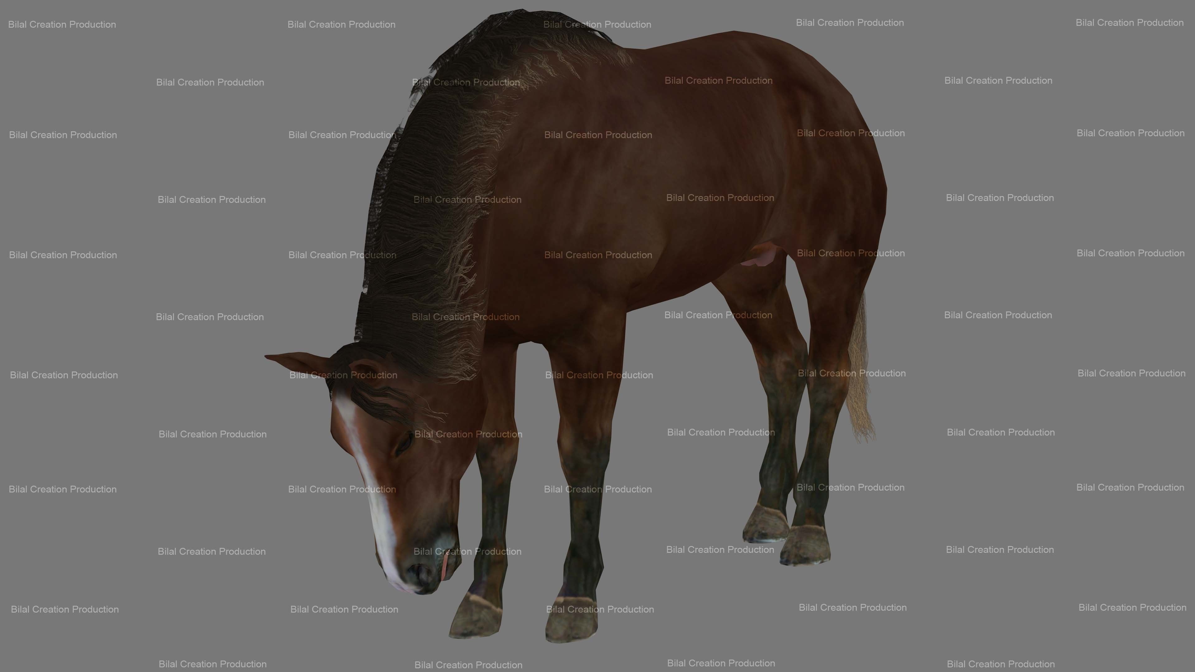 Horse Animated 3D model_6