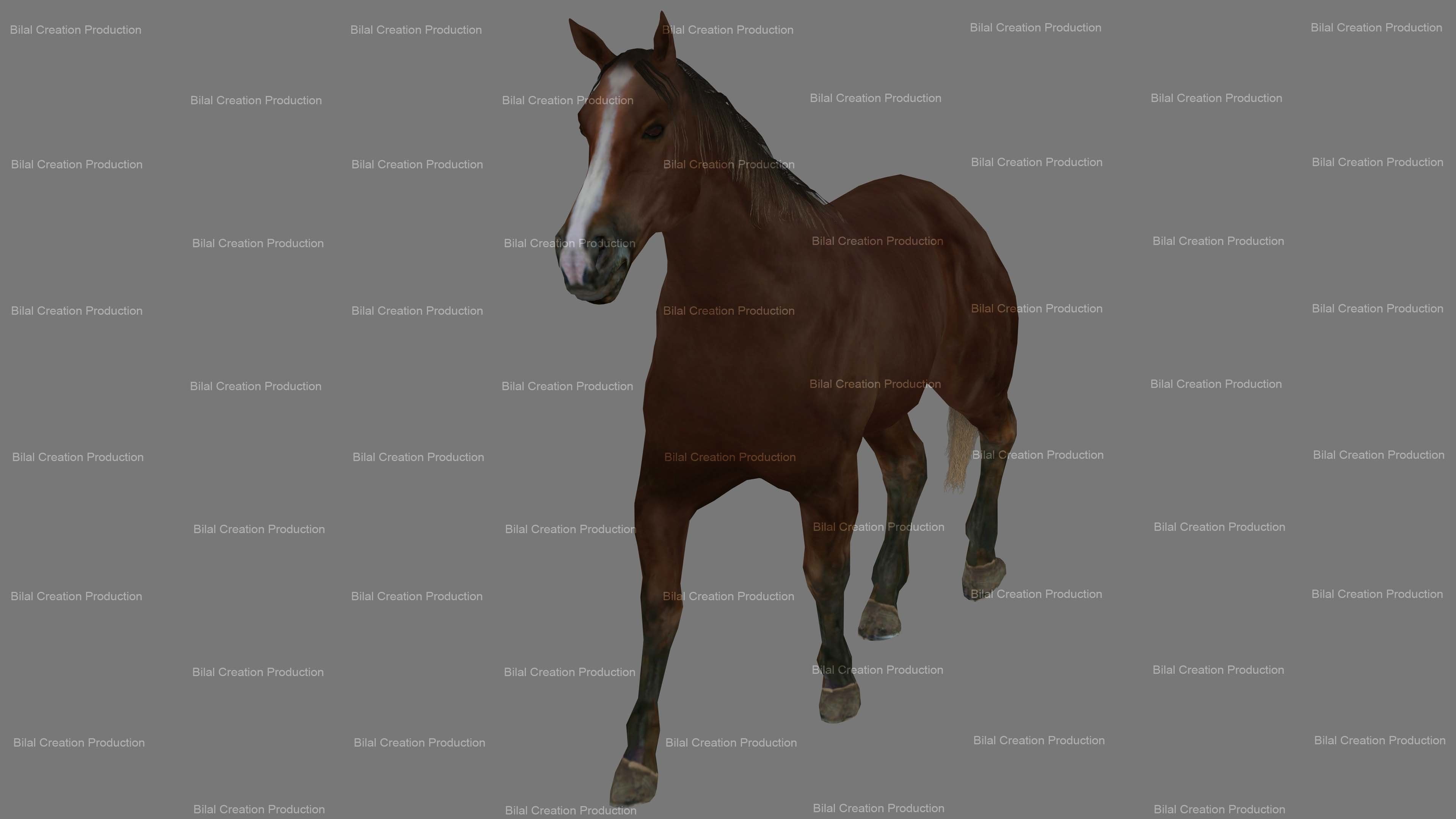 Horse Animated 3D model_4