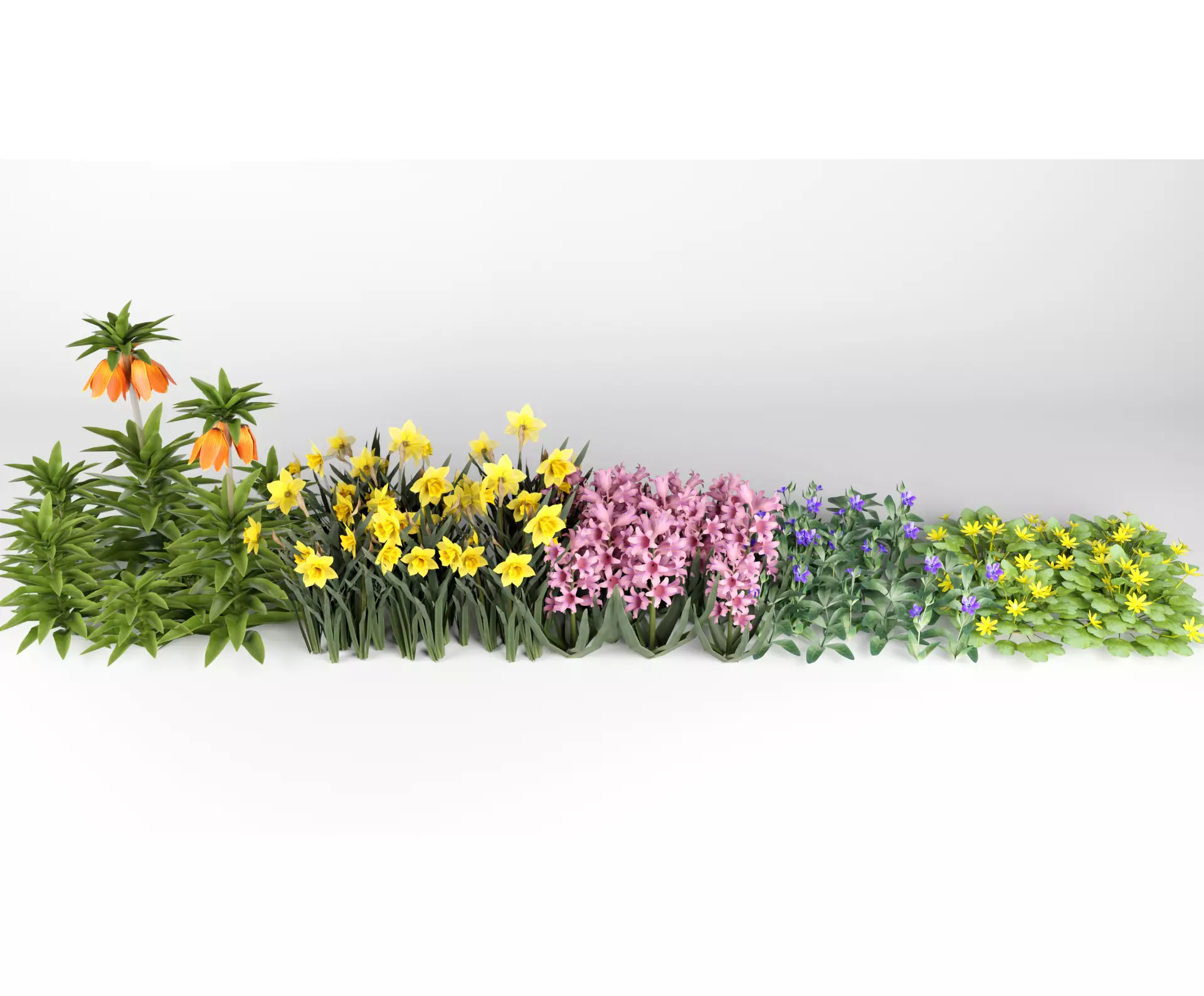 Spring Garden Flowers Collection  Low-poly 3D model_0