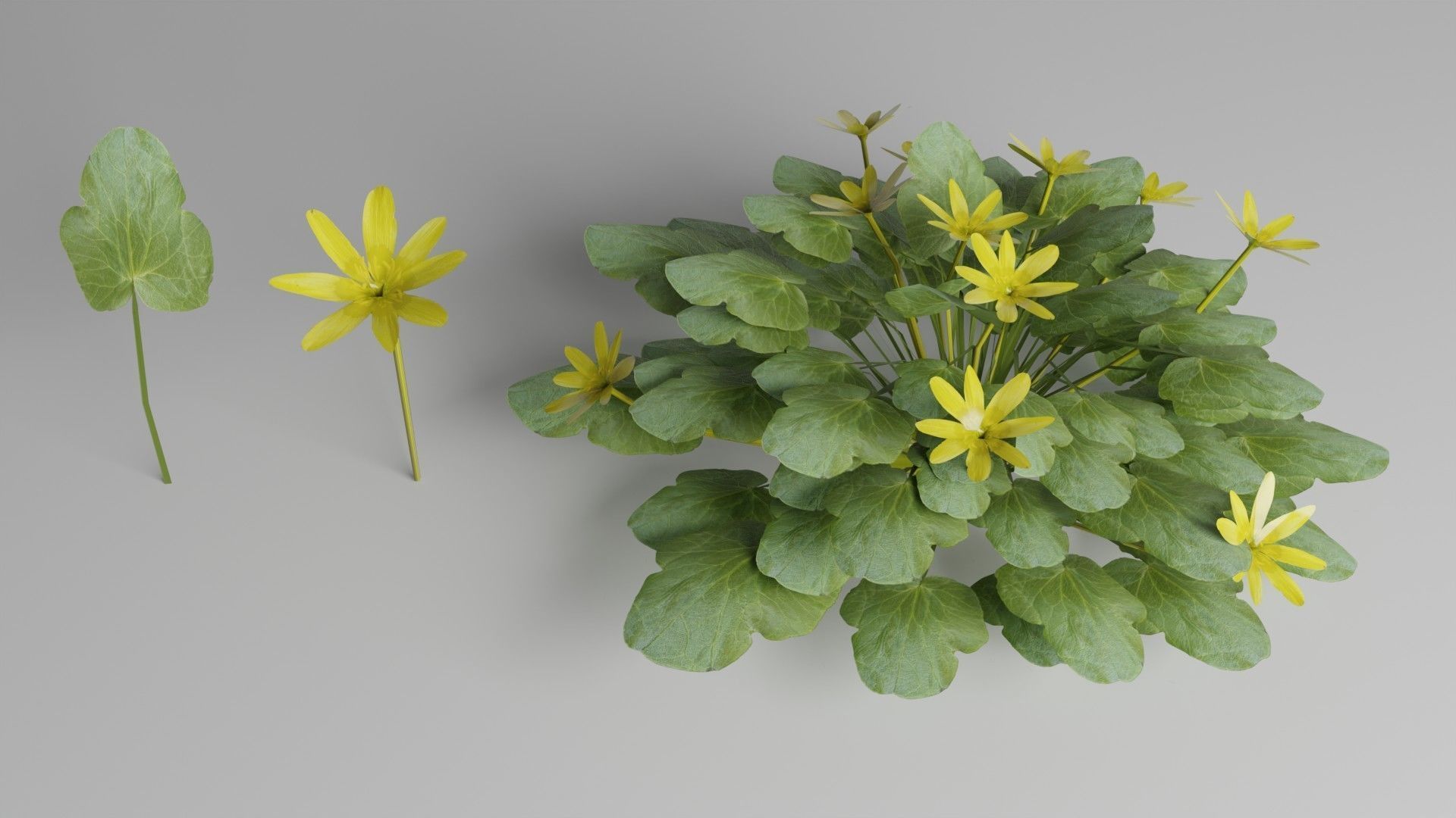 Spring Garden Flowers Collection  Low-poly 3D model_10