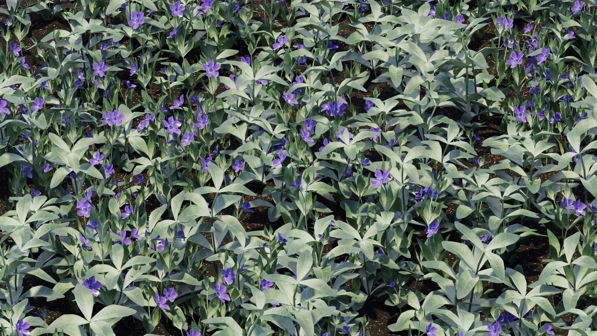 Spring Garden Flowers Collection  Low-poly 3D model_14