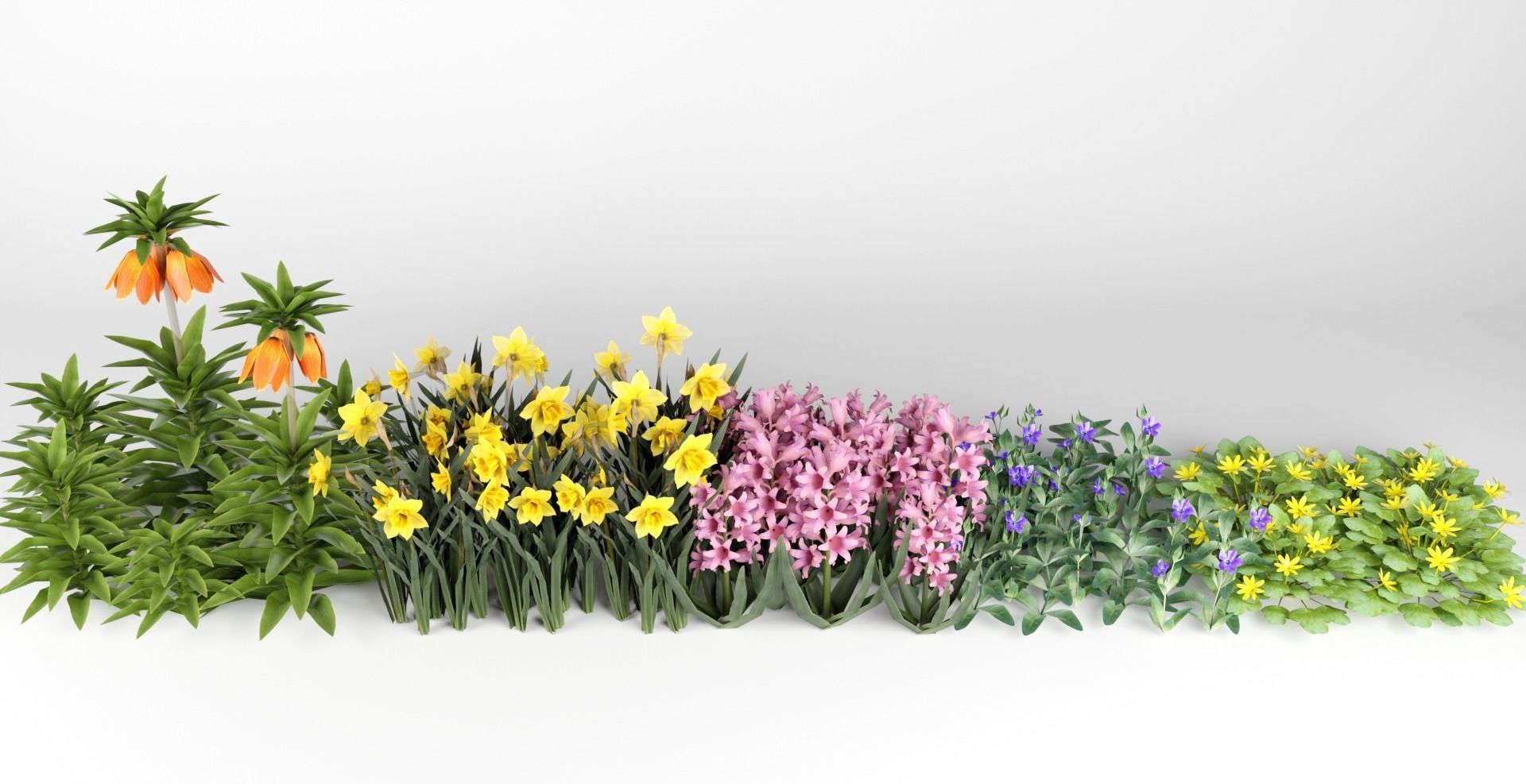 Spring Garden Flowers Collection  Low-poly 3D model_16