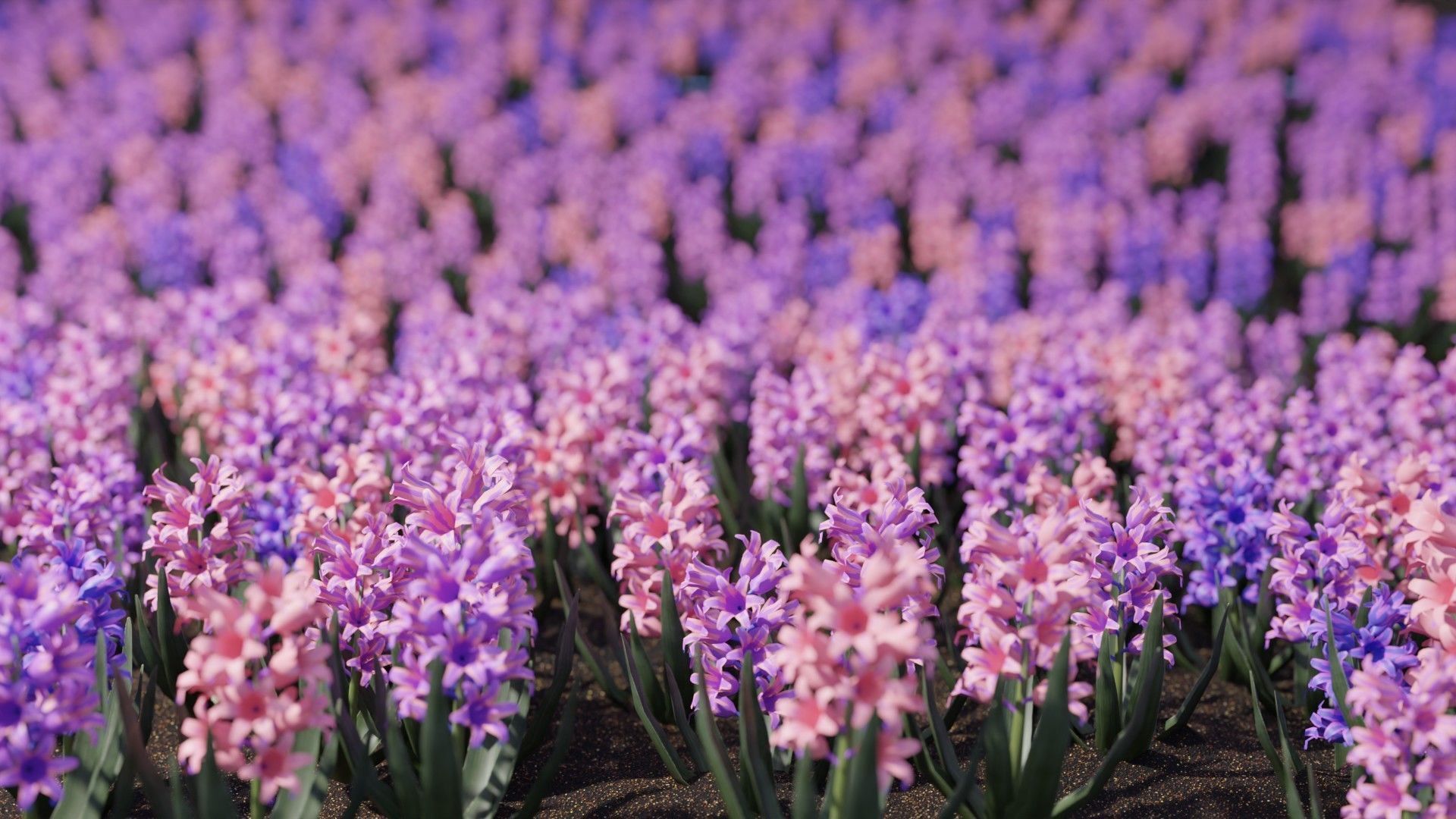 Spring Garden Flowers Collection  Low-poly 3D model_13