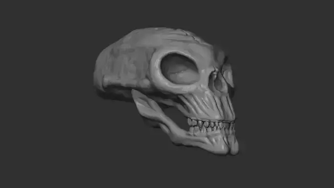 Alien Skull 3D print 3D print model
