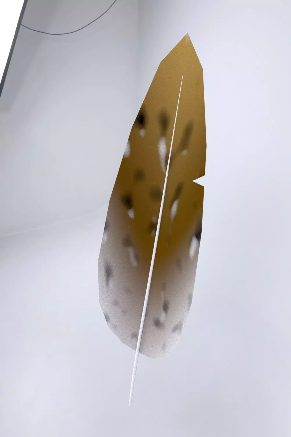 Feather on wall Free low-poly 3D model_0