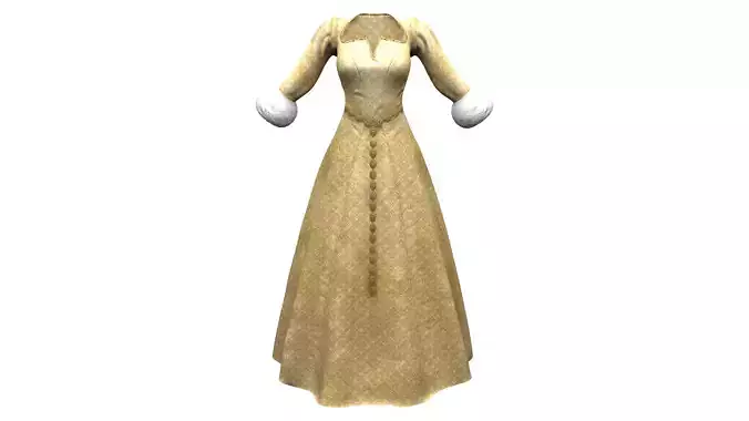 Gold Gilded Fur Sleeves Winter Gown