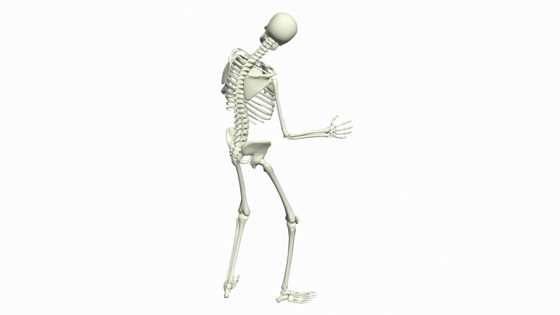Skeleton Rigged 3D Animations Set 3 - 25 in 1  3D model_9