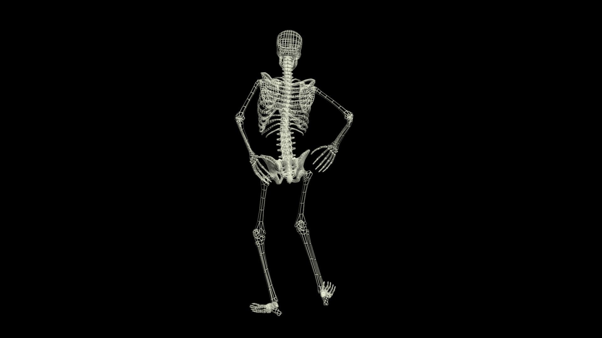 Skeleton Rigged 3D Animations Set 3 - 25 in 1  3D model_16