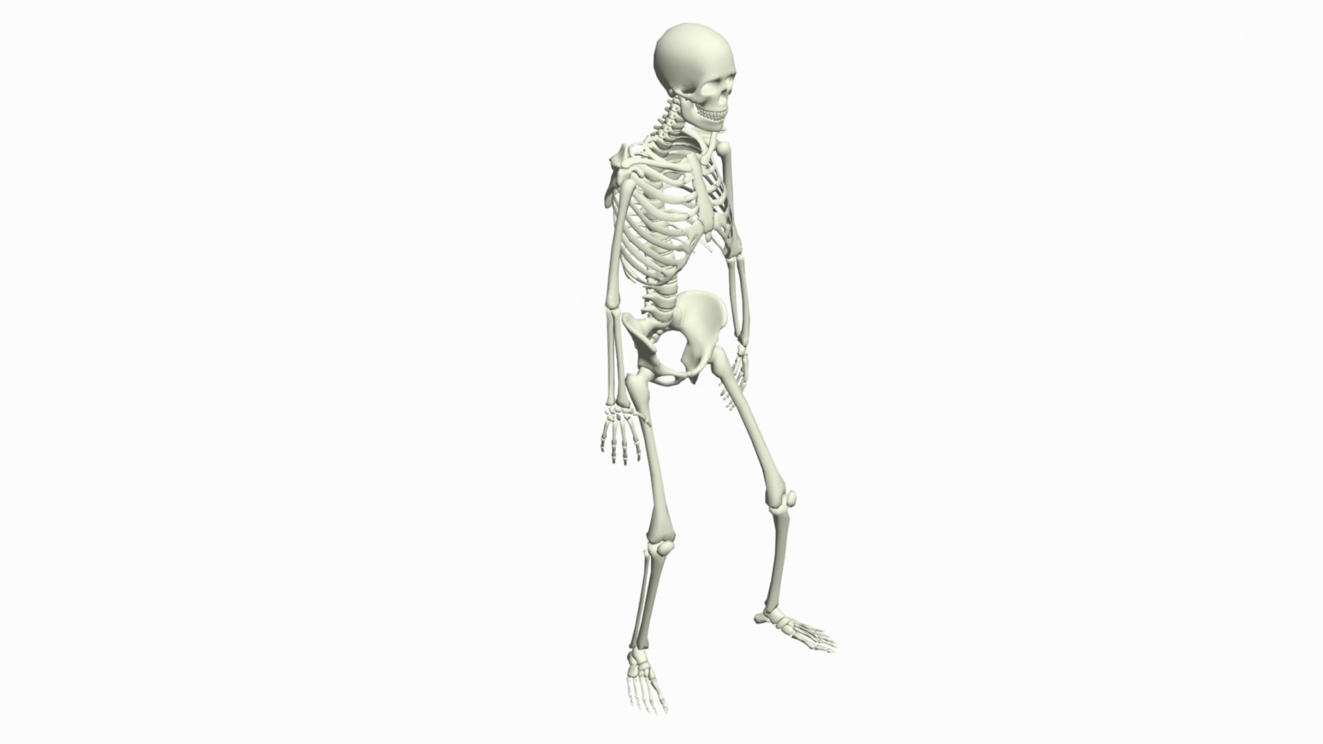 Skeleton Rigged 3D Animations Set 7 - 25 in 1 3D model_6