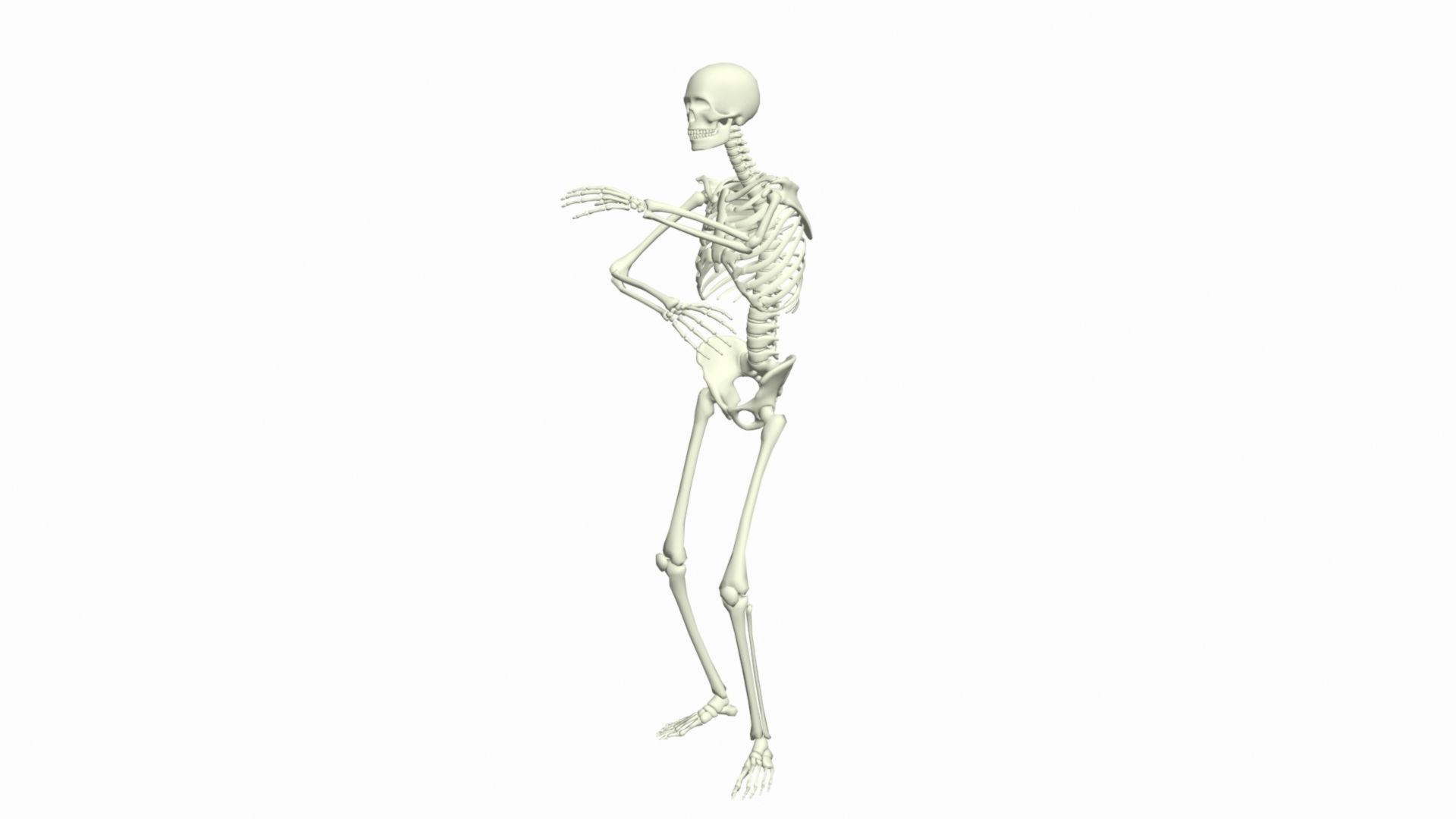 Skeleton Rigged 3D Animations Set 7 - 25 in 1 3D model_12