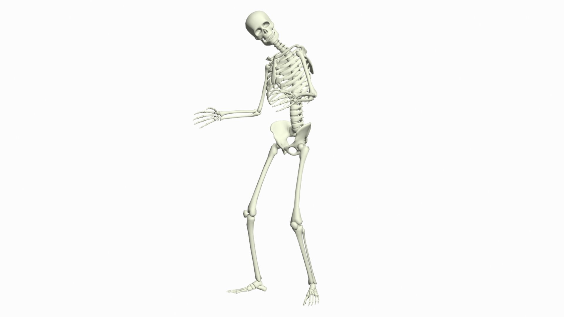 Skeleton Rigged 3D Animations Set 7 - 25 in 1 3D model_7