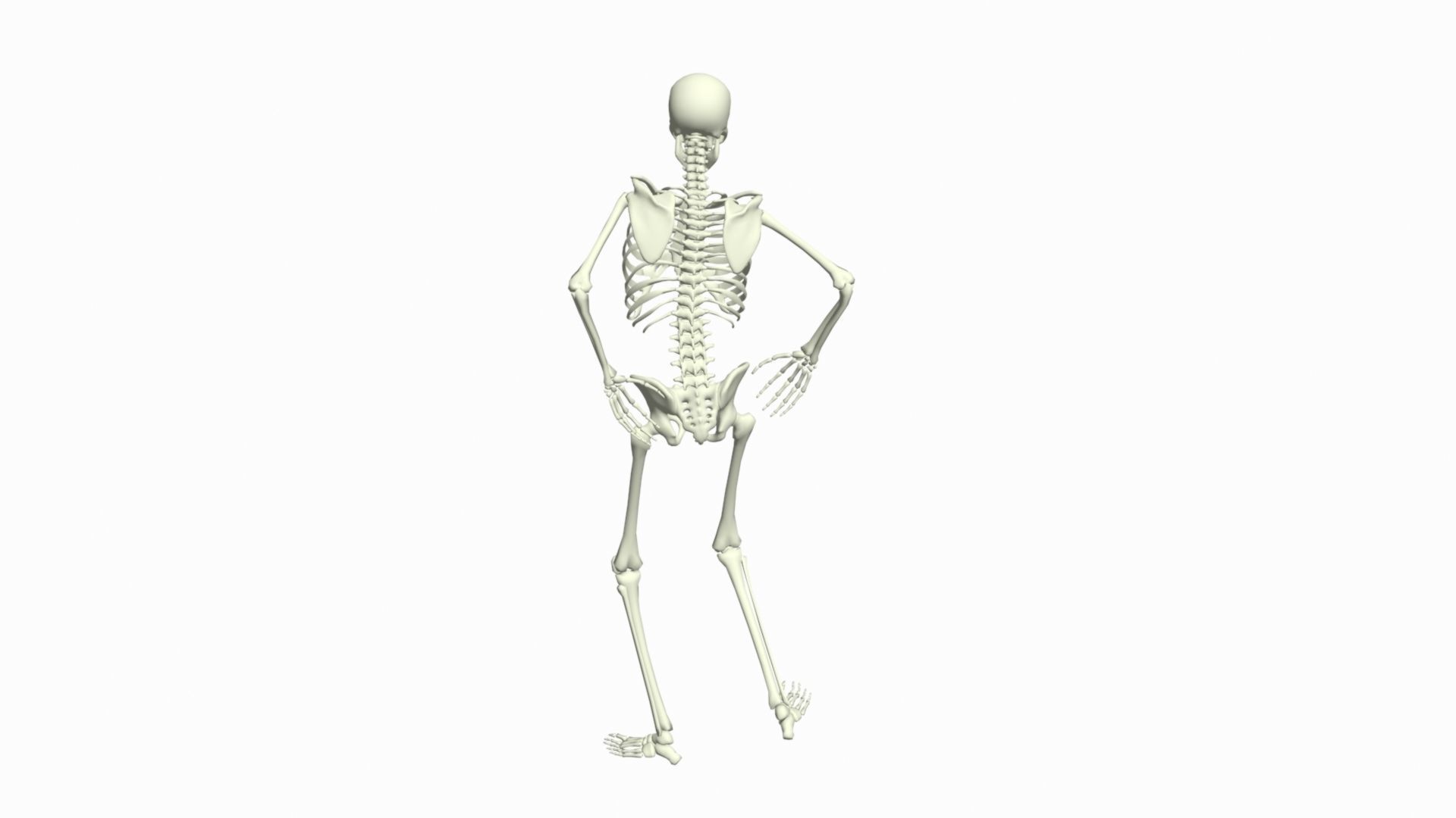 Skeleton Rigged 3D Animations Set 7 - 25 in 1 3D model_15