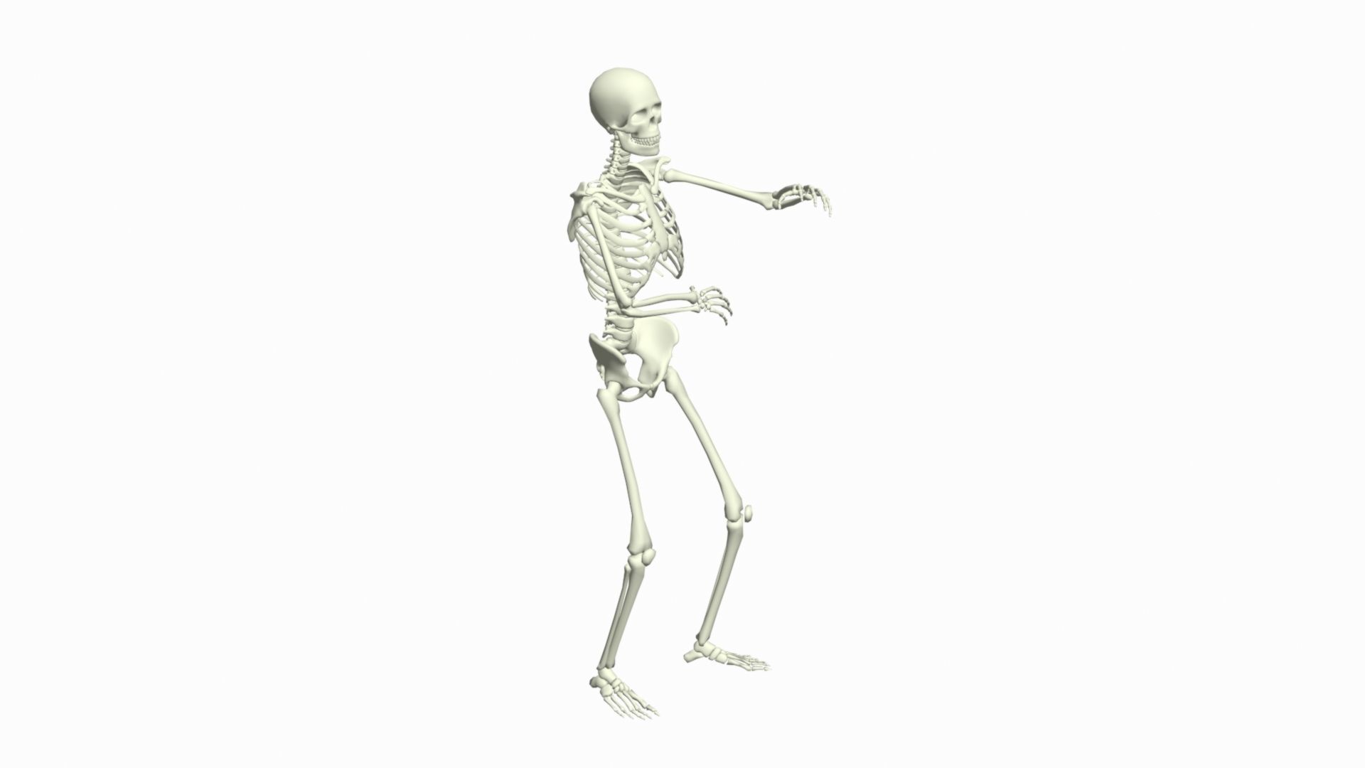Skeleton Rigged 3D Animations Set 7 - 25 in 1 3D model_13
