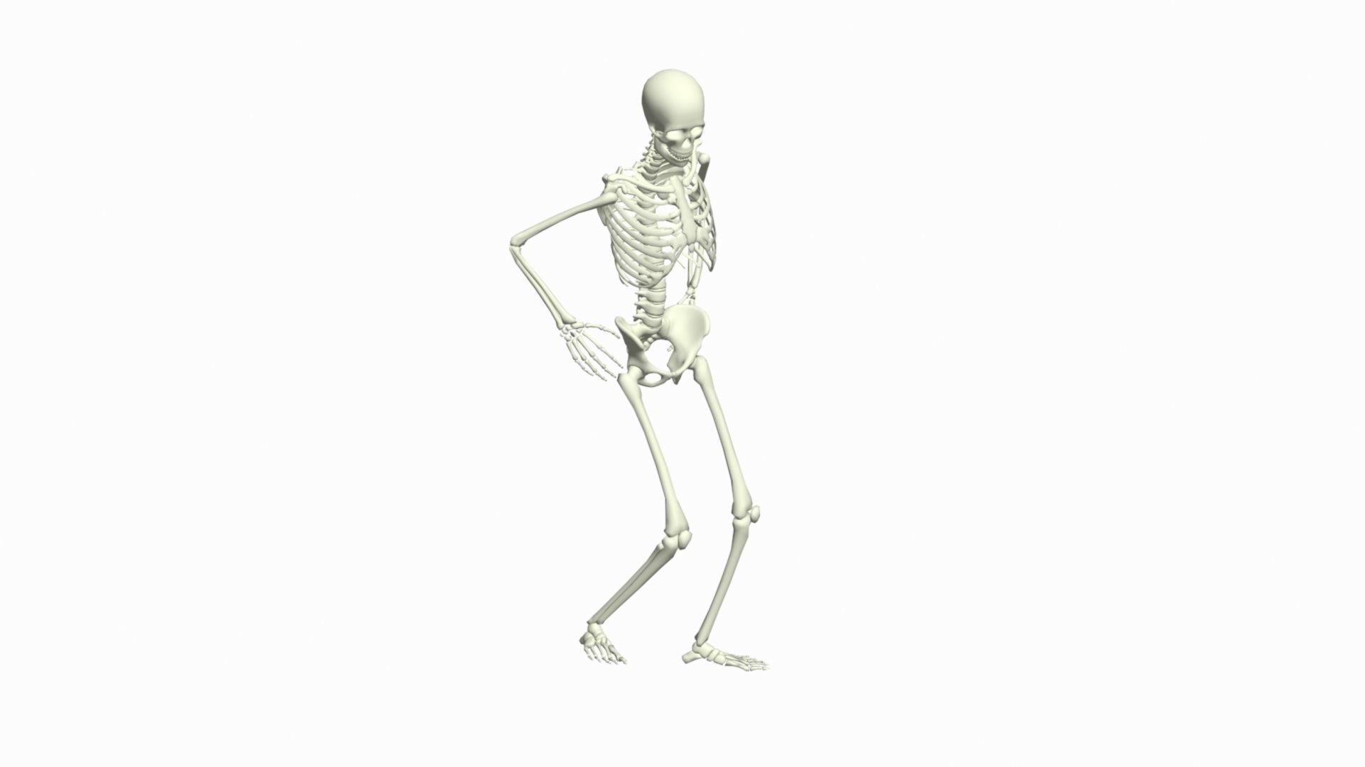 Skeleton Rigged 3D Animations Set 7 - 25 in 1 3D model_14