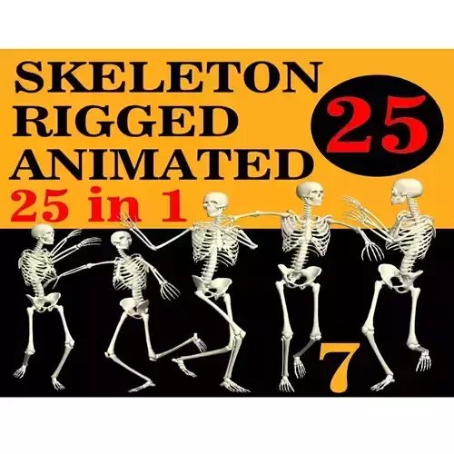 Skeleton Rigged 3D Animations Set 7 - 25 in 1 3D model