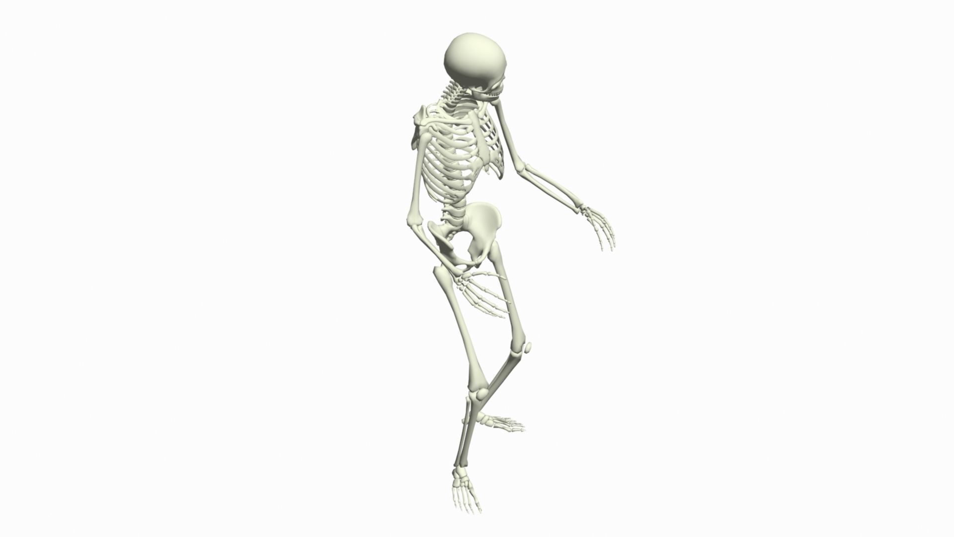 Skeleton Rigged 3D Animations Set 7 - 25 in 1 3D model_5