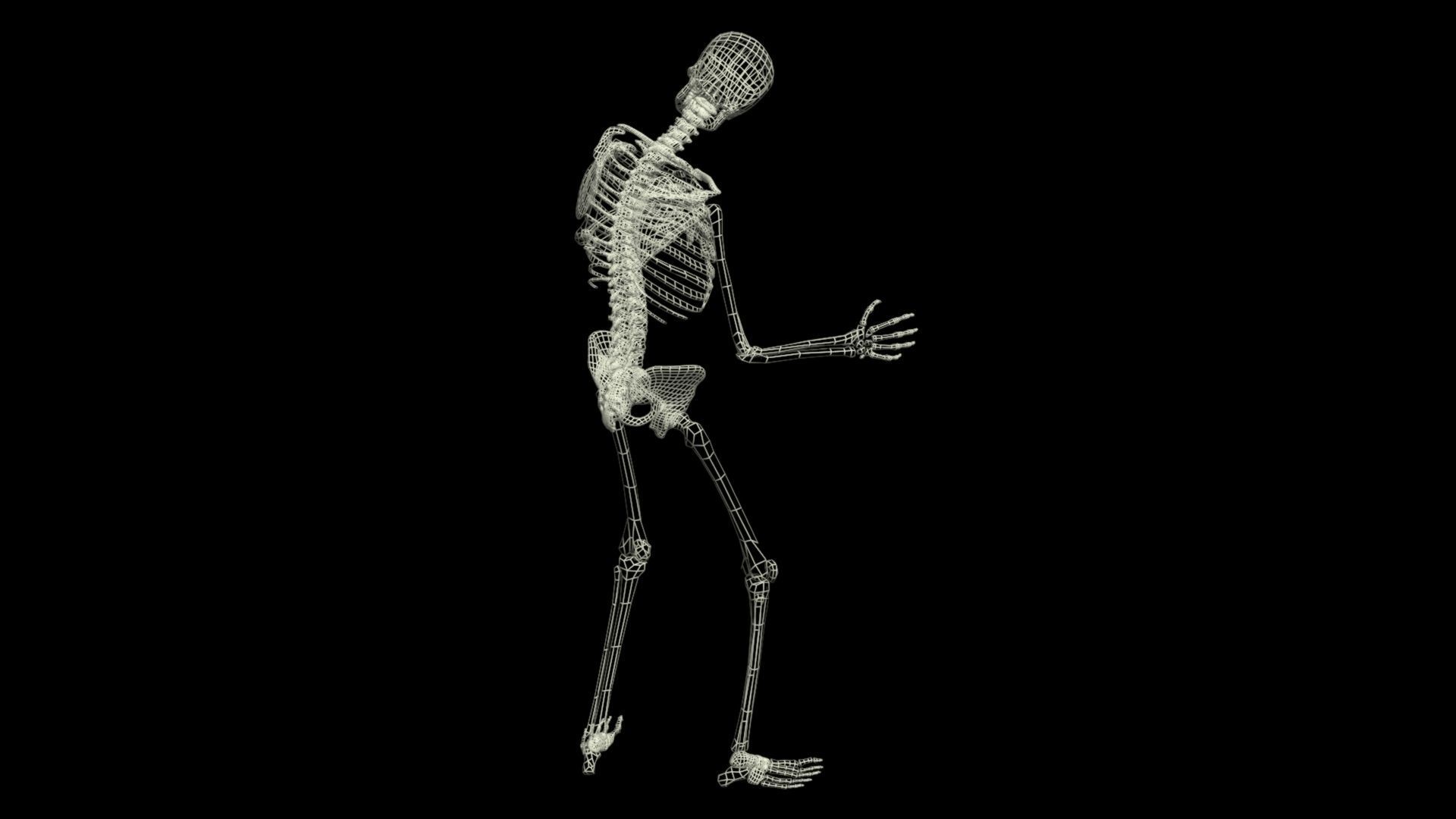 Skeleton Rigged 3D Animations Set 7 - 25 in 1 3D model_10