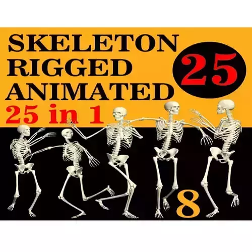 Skeleton Rigged 3D Animations Set 8 - 25 in 1  3D model